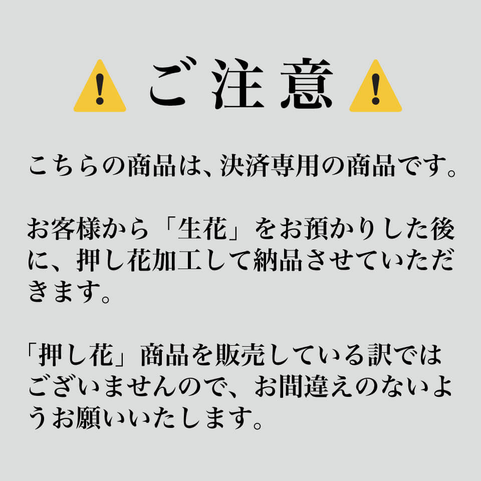 赤バラ12本(かすみ草入り) 押し花