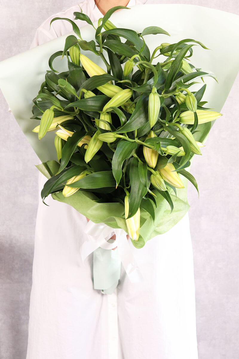白ユリのみの花束
