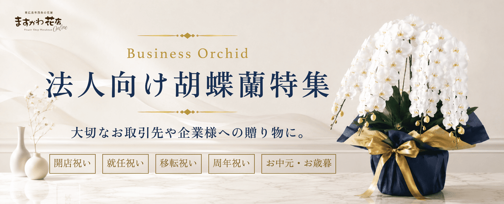 法人向け胡蝶蘭特集