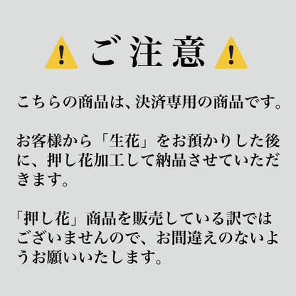 赤バラ12本（かすみ草入り） 押し花