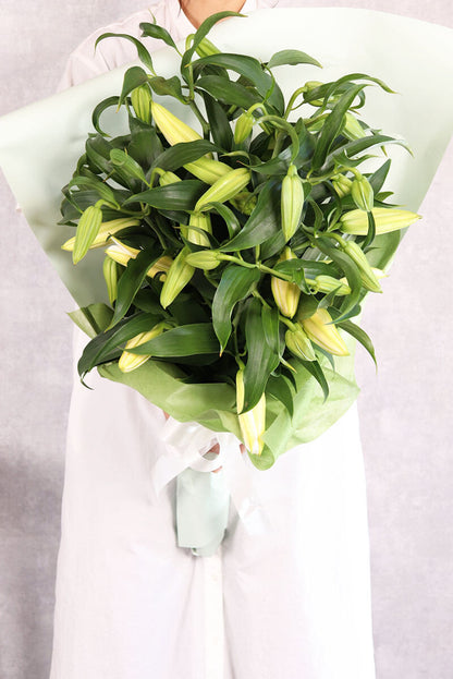 白ユリのみの花束