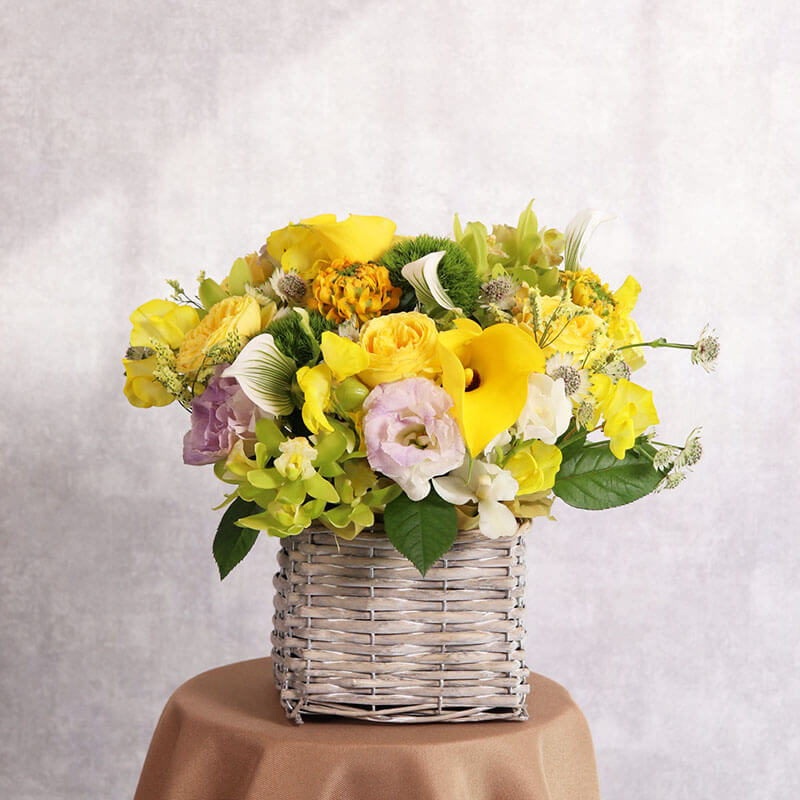 陽だまりの祝福 〜イエローおまかせアレンジ〜