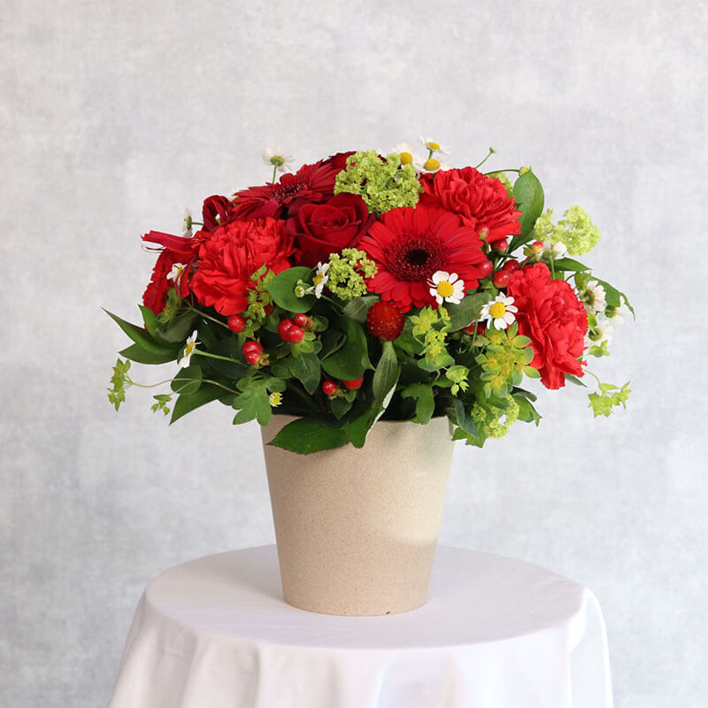 母の日おすすめ レッド基調のアレンジ （中サイズ）お急ぎ便