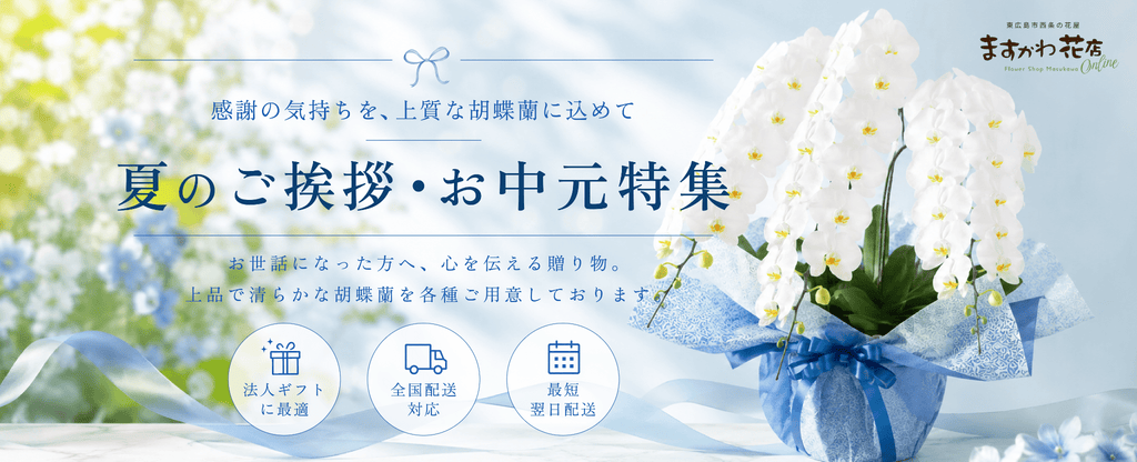 夏のご挨拶・お中元特集